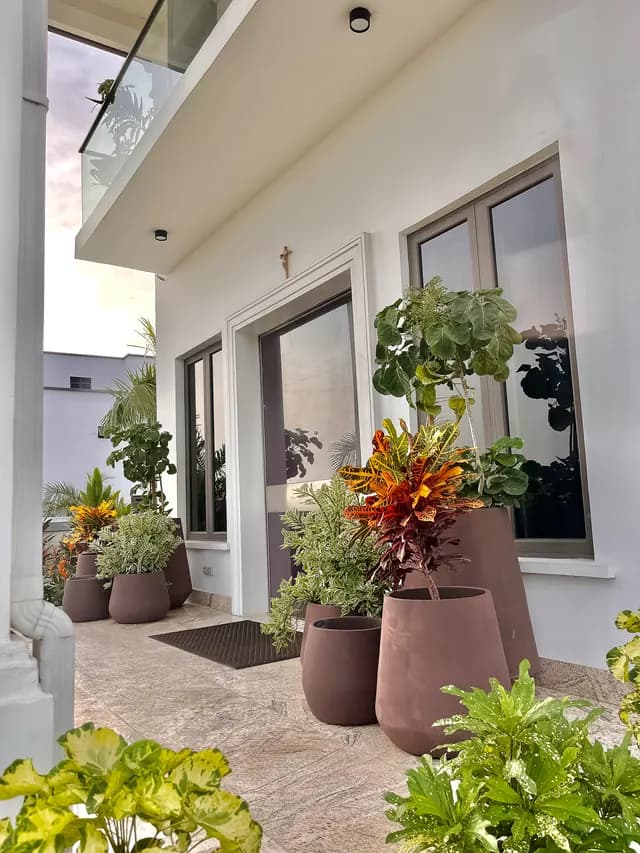 Planters filled with foliage beside an entrance
