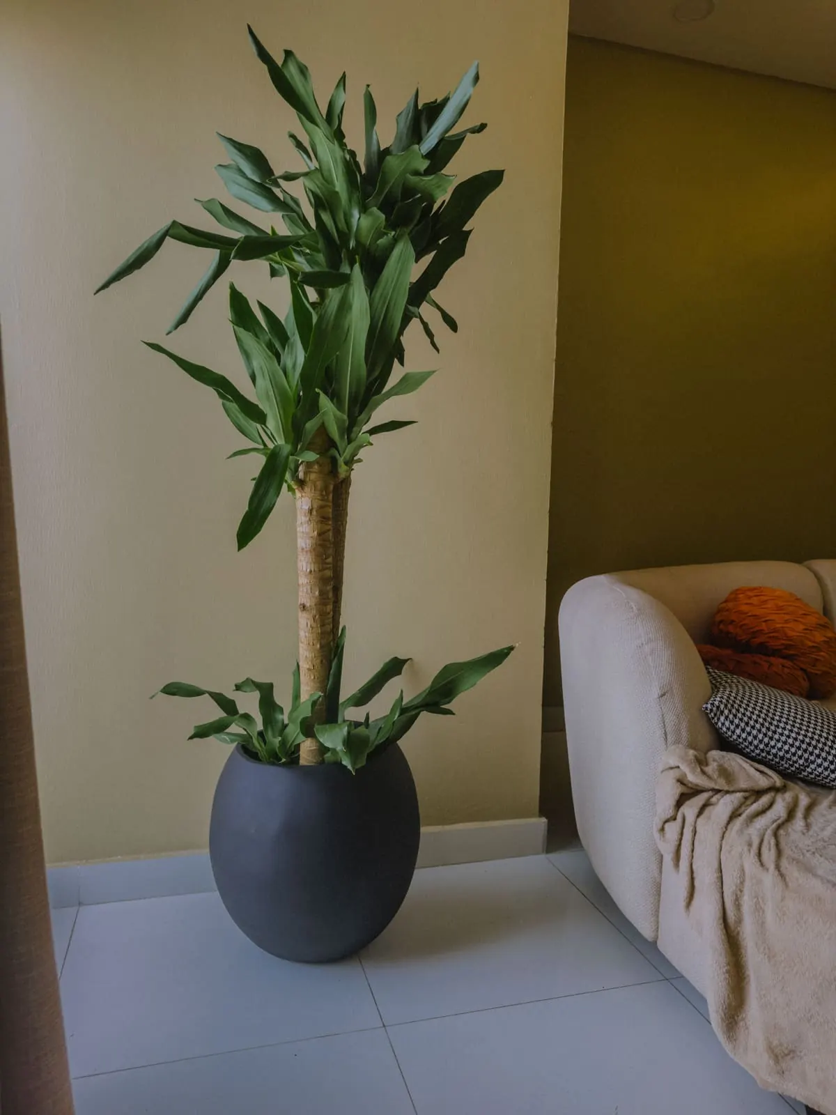 Karomart handcrafted planter installation 1