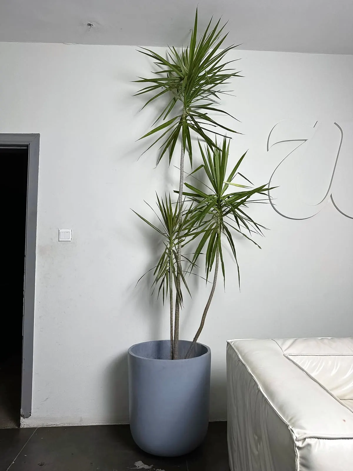 Karomart handcrafted planter installation 17