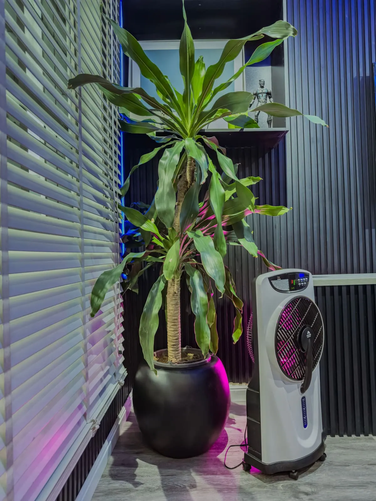 Karomart handcrafted planter installation 8