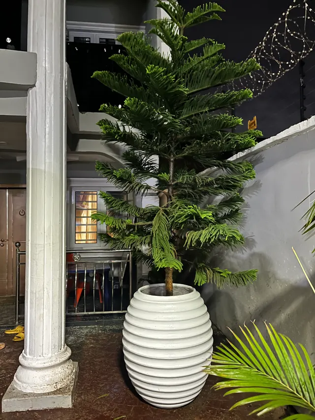 Jumbo Beehive Vase