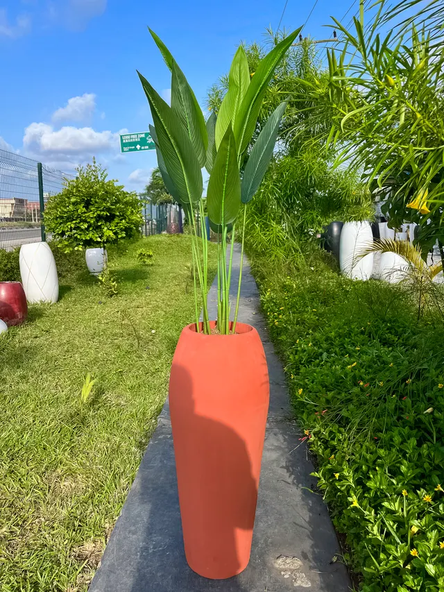 Carrot Vase