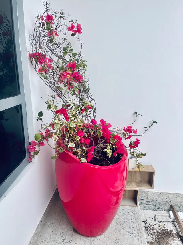 Slat Cocoa Vase