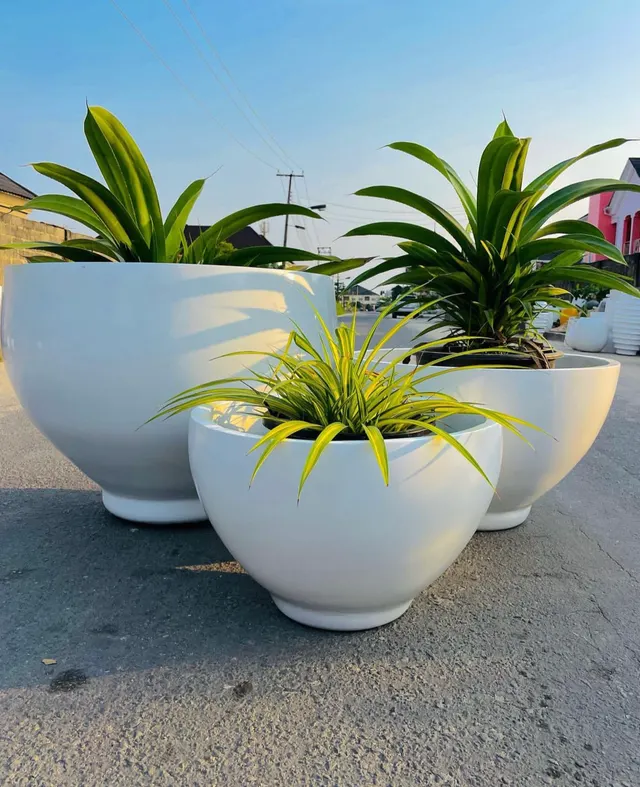 Set Of Bowl Vase