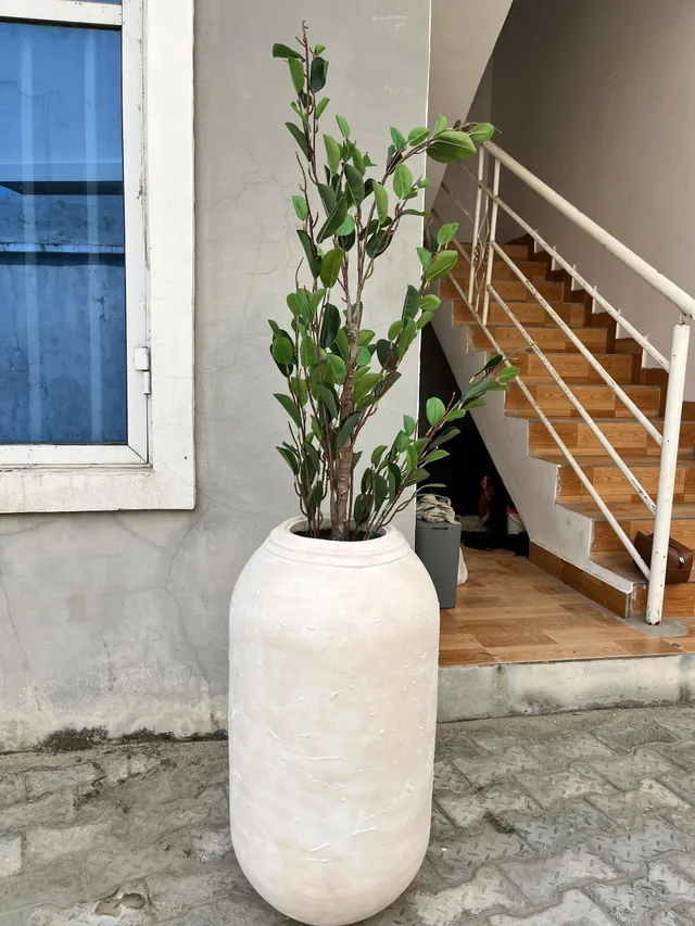 Capsule Rings Vase